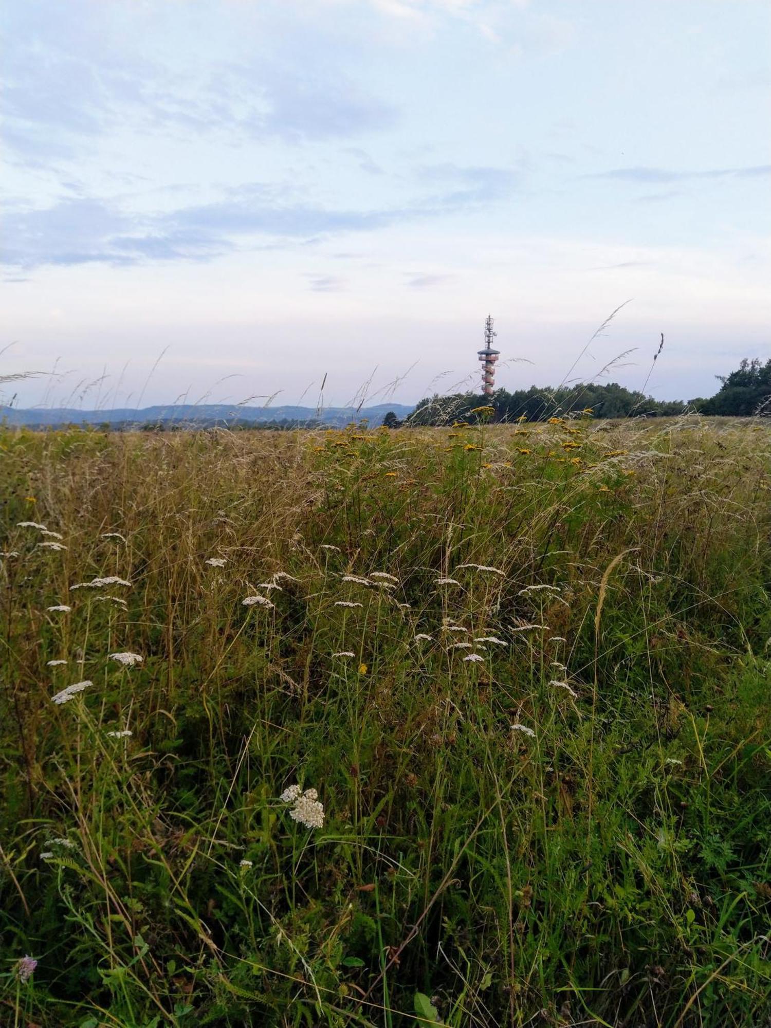 Apartmany Sharka -Sarka Justrova Decin Quarto foto