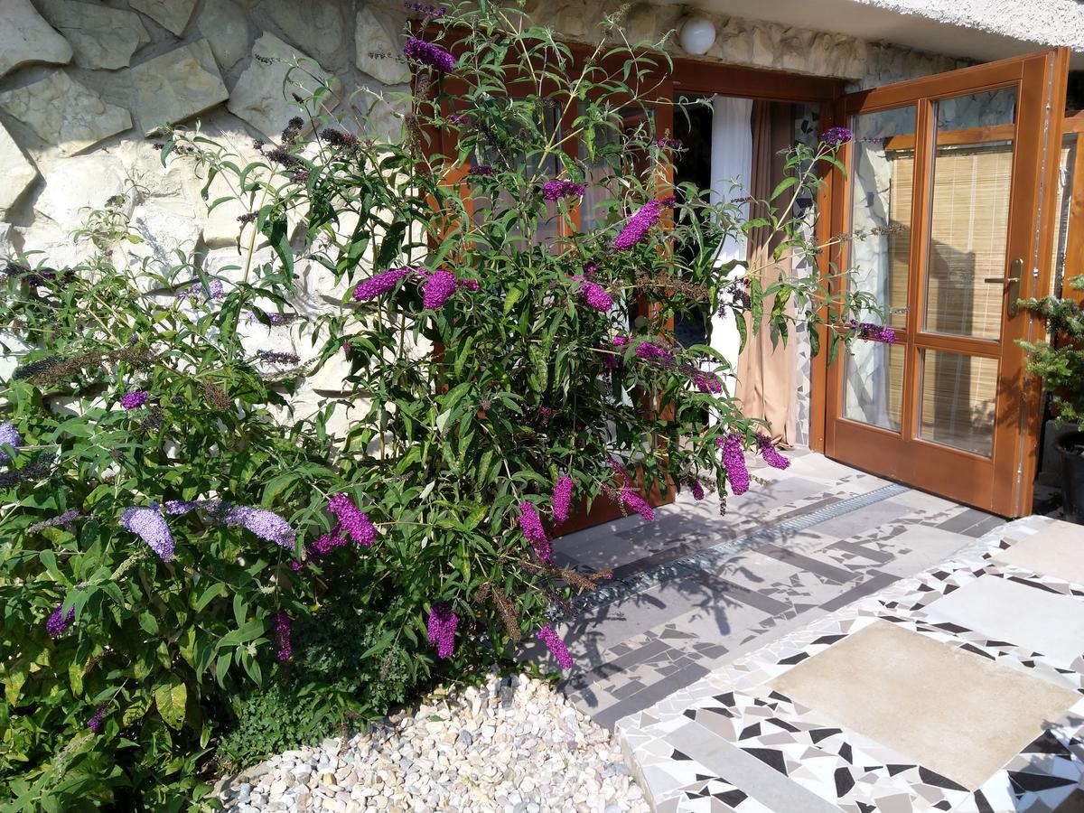 Apartmany Sharka -Sarka Justrova Decin Exterior foto
